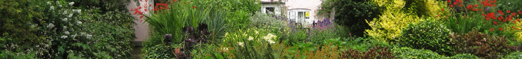 Mein Garten Ratgeber - mein Garten im Mai