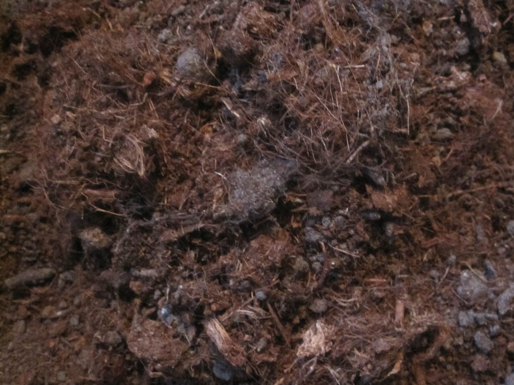 Kokos-substrat